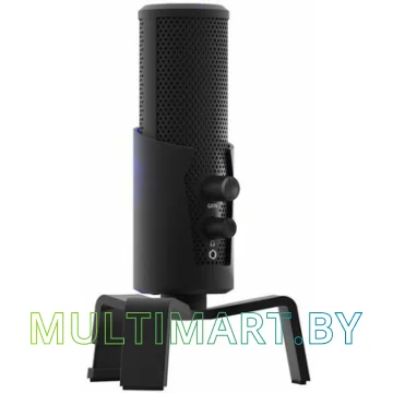 Микрофон Ritmix RDM-290 USB Eloquence картинка 2